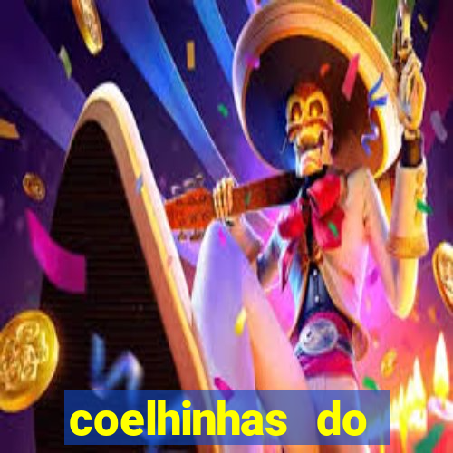 coelhinhas do brasil acompanhantes